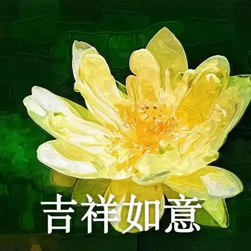 好心慌好慌好慌
