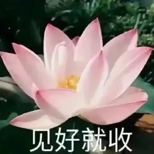 轻松一秒给她备注甜甜圈,给我备注舔舔犬是吧
