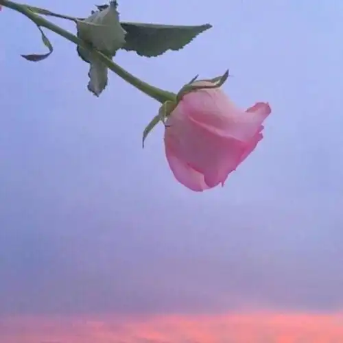 清新头像图片简约唯美男