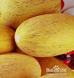 夏天的水果有哪些
