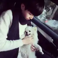 我现在可以申报高级经济师,但是我的中级经济师的类...帮考教育专业问答
