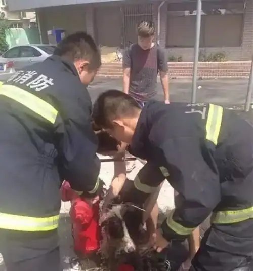 不要总说国外的消防员如何如何好,咱们自己家的就很差劲吗
