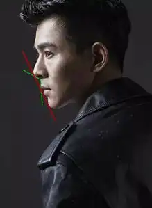 为什么会感觉张国荣那么好看
