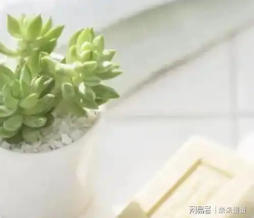 杨绛任何关系到最后只是相识一场
