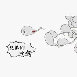 男性如何保护精子

