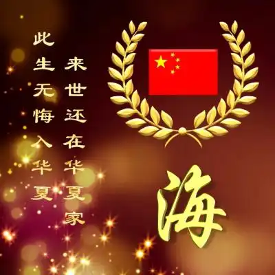 爱国姓氏头像此生无悔入华夏来世还在华夏家
