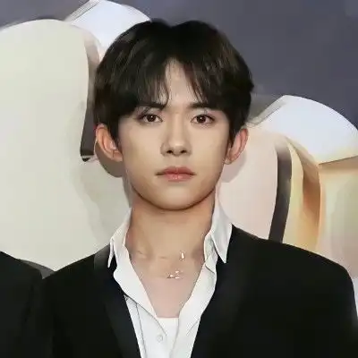 ins你的偶像男生头像
