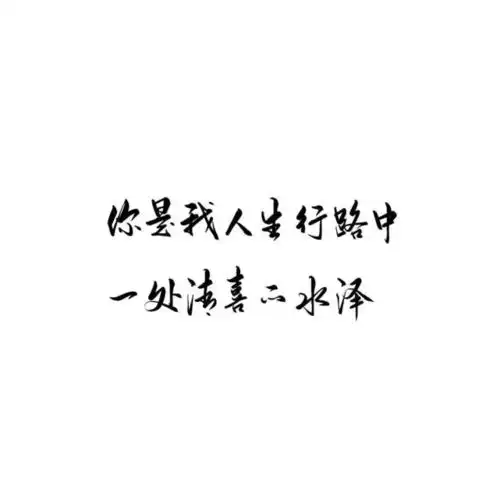 所有不被珍爱的人生,都应该高傲地绝版
