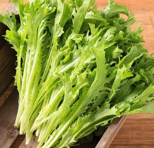它是秋天必备蔬菜,经常上火要多吃些,维c含量极高,对眼睛特别好腾讯新闻
