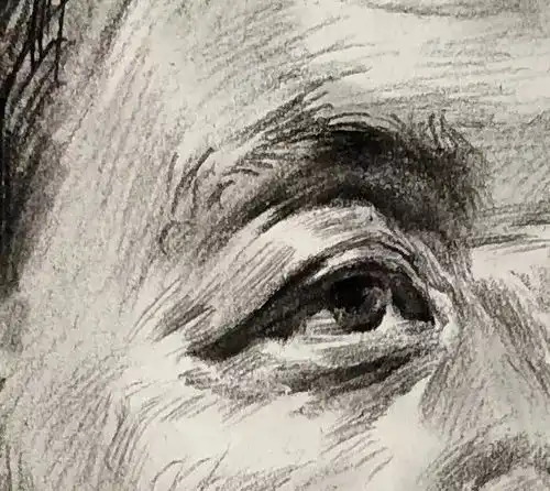 宅美术教你画标准式四分之三侧男中年素描头像
