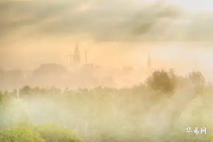 81年属鸡办公室什么摆件最旺财
