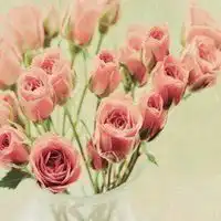 带玫瑰花头像图片大全