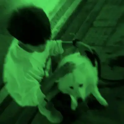 绿色头像男绿色可爱男生头像图片

