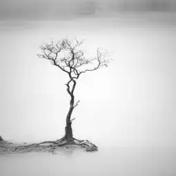 季羡林先生的12条经典人生箴言
