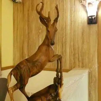 携程酒店花莲盛鹿儿休闲度假庄园sonluerholidaymanor预订花莲盛鹿儿休闲度假庄园sonluerholidaymanor价格点评电话地址查询
