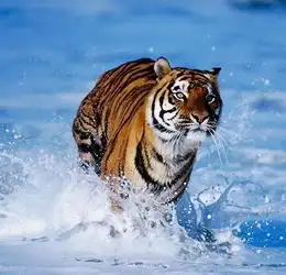 好人头上有灵光看看自己有没有
