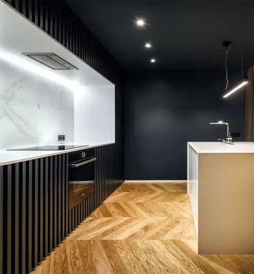 即使黑色,也可精致保加利亚现代男性公寓
