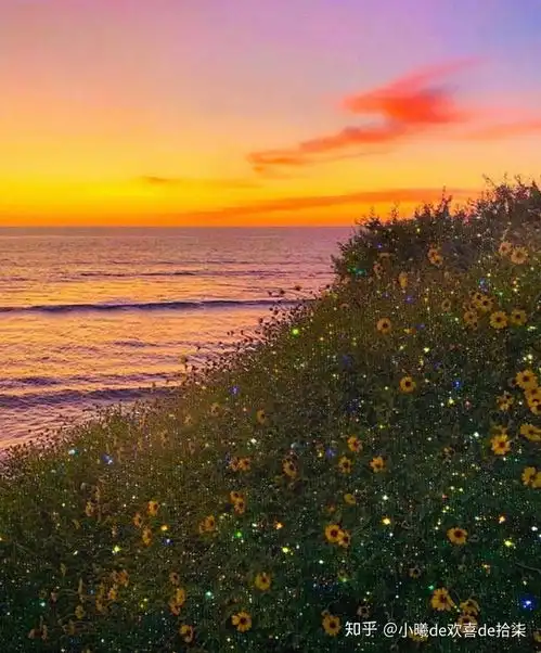 温暖可爱的文案暖色系壁纸
