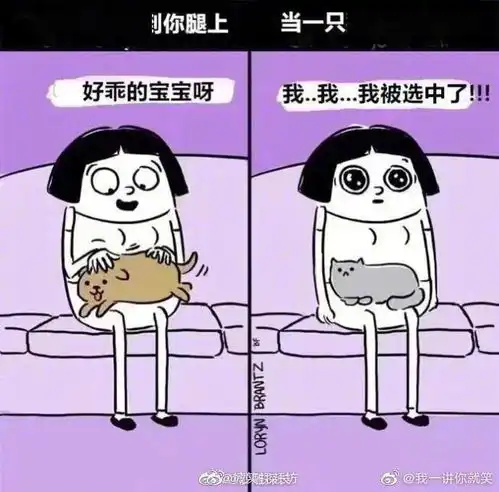 猫咪偷袭医生只为救它这样的猫狗情谊你慕了吗
