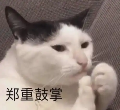 破产上热搜的蜂花,不仅36年无任何处罚记录,知产保护也该夸
