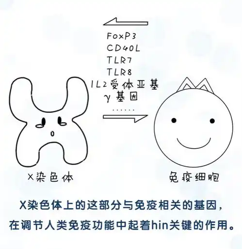 免疫讲学堂第五期性别歧视警告免疫力为啥会重女轻男

