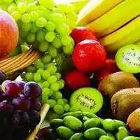 蔬菜头像大全图片大全微信头像图片大全
