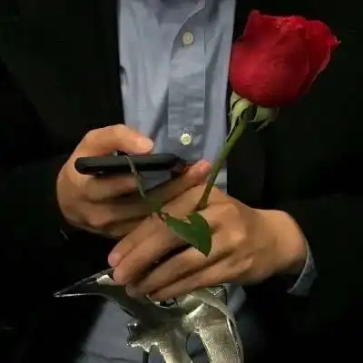 漂亮的玫瑰头像微信头像玫瑰花图片大全

