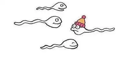 精子质量差男人不如多吃这3样好东西
