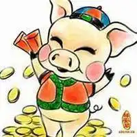 1971属猪的微信头像旺财微信头像图片大全
