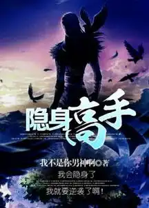隐身高手免费下载zol手机版
