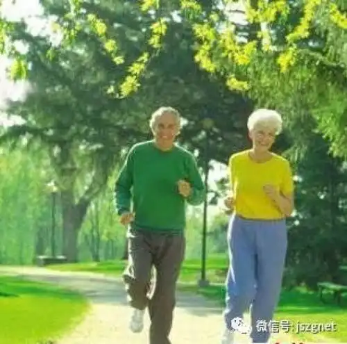 适合老年人的运动项目
