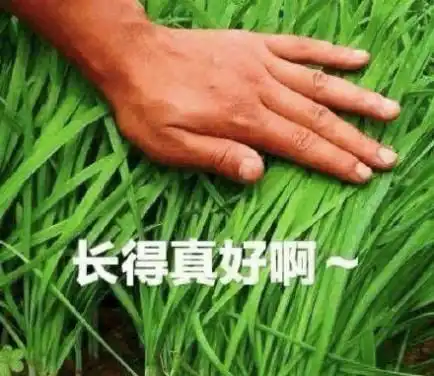 实用美白精华推荐美白精华真的有用吗美白精华哪个好哪些能真正高效美白淡斑淡印
