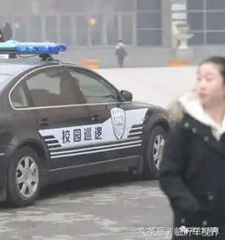 国内某高校保安每天开豪车在校内巡逻,网友只会耗子扛枪窝里横
