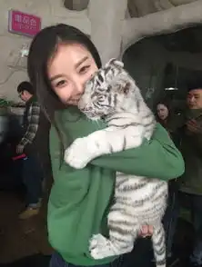 奇妙的朋友女神倪妮一夜颠覆春节带冯叔回家过年
