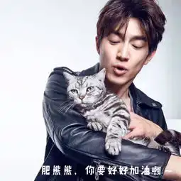 和林更新恋爱是怎样的体验
