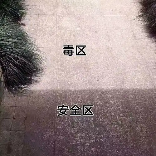 今天北京持续高温全都热化了,热热热热热

