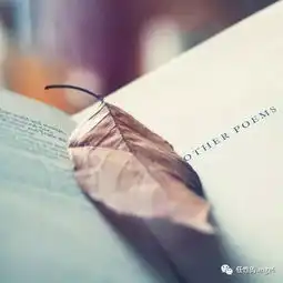 世人贪婪,总想寻找两全,但这世间难有两全
