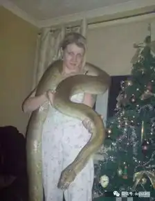 那些雷人的宠物.
