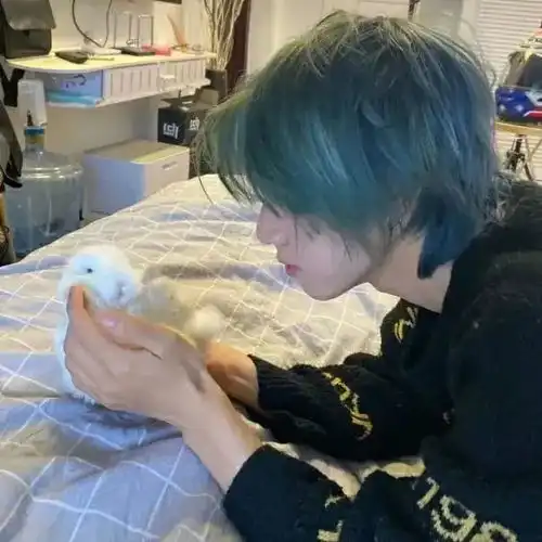 一起撞进夏天的晚风里
