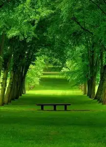 宇宙发生的一切都是刚刚好
