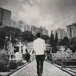电子音乐dimitrivegaslikemikereverse
