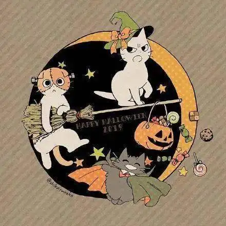 奶凶奶凶的小白猫,我好爱呀你呢
