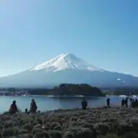 箱根河鹿庄酒店预订,点评,图片,价格查询
