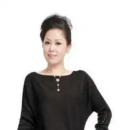 中年女性简单盘发发型中年妇女优雅盘发发型图片
