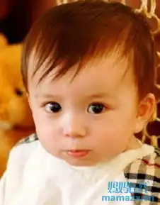 生男孩的饮食食谱生男孩吃什么好
