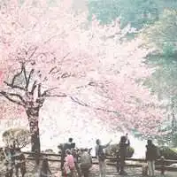 微信头像春天风景微信头像图片大全

