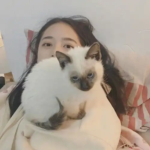 只要爱你,就算吵吵闹闹,分分合合,最后依旧会在一起的星座