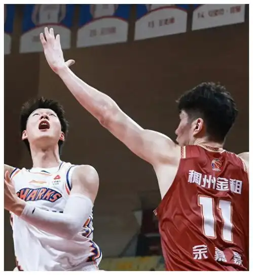 cba新赛季8位国手加盟,小姚明爆发,广厦双核惊艳
