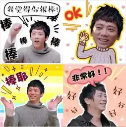 信我是歌手表情包强势来袭高冷男神也有逗比一面
