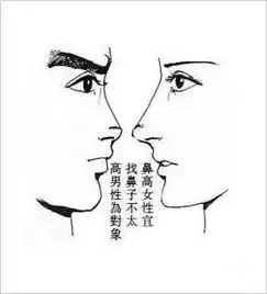 鼻子面相图解鼻子面相看人生运程
